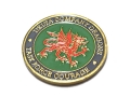 米軍実物 陸軍 イラク DELTA COMPANY DRAGONS TASK FORCE COURAGE チャレンジコイン ARMY