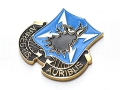 米軍実物 陸軍 310th Military Intelligence Battalion チャレンジコイン ARMY