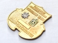 米軍実物 陸軍 310th Military Intelligence Battalion チャレンジコイン ARMY