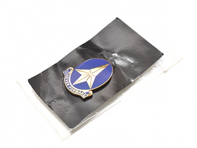 米軍実物 ARMY 陸軍 197th Infantry Brigade Unit 第197歩兵旅団 クレスト ピンバッジ